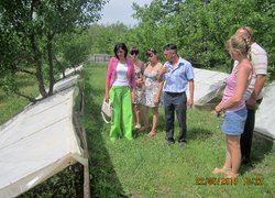 Розсадник декоративних і лісових культур в урочищі ,,Дальницький ліс,, Великодолинського ЛГ